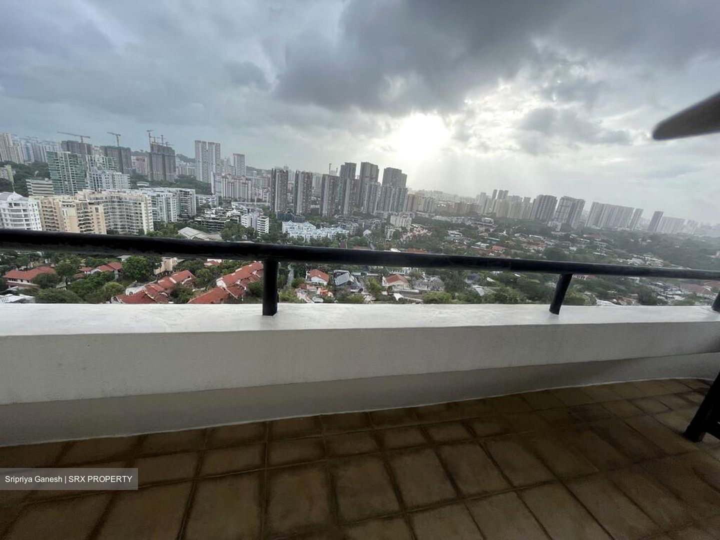 Regency Park (D10), Condominium #517942651